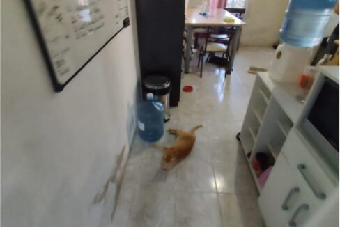 WhatsApp Image 2025-10-08 at 10.16.51 (1)