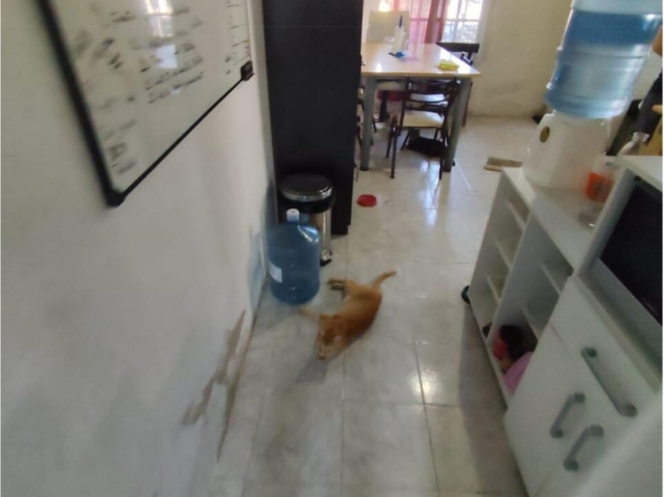 WhatsApp Image 2025-10-08 at 10.16.51 (1)