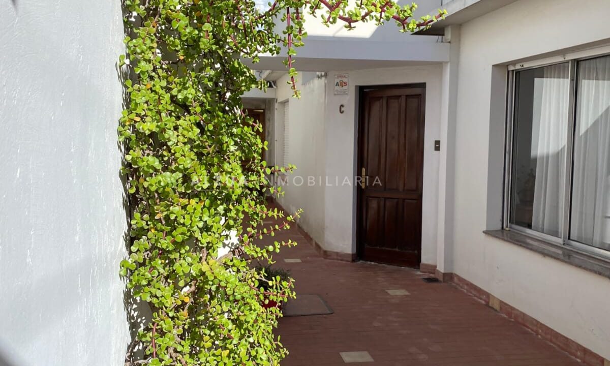 WhatsApp Image 2026-03-19 at 02.25.28 (2)